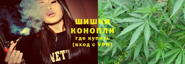 спиды Богородск