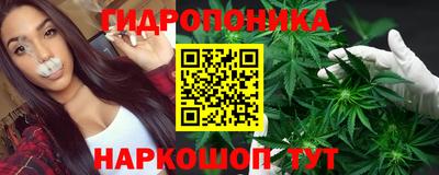 крисы Бийск