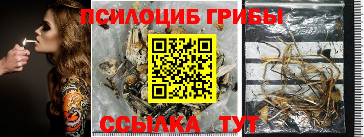 Галлюциногенные грибы GOLDEN TEACHER  Вход с VPN  что такое наркотик  Великий Устюг 