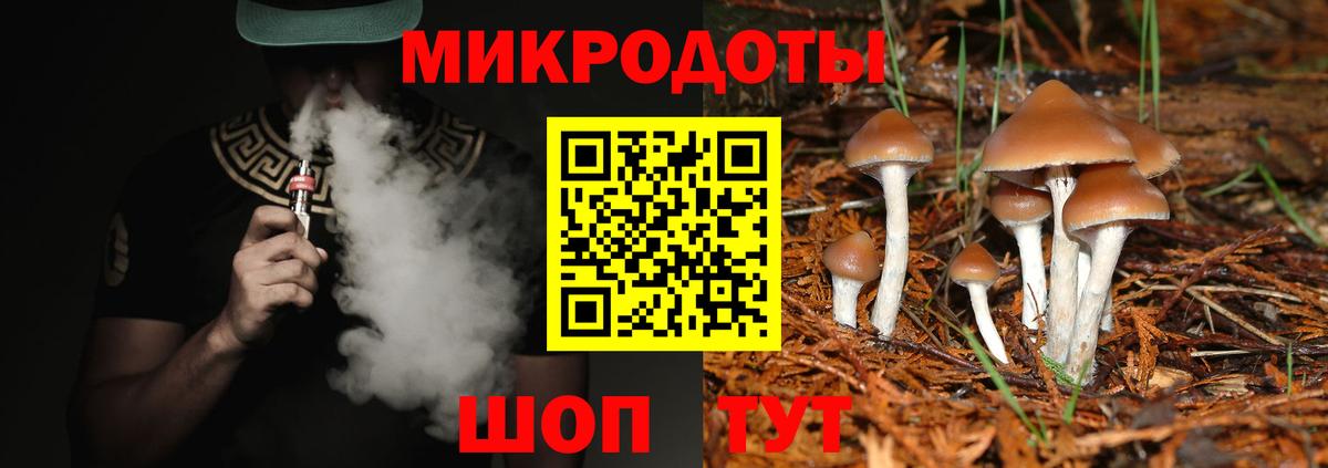 Псилоцибиновые грибы мухоморы Великий Устюг